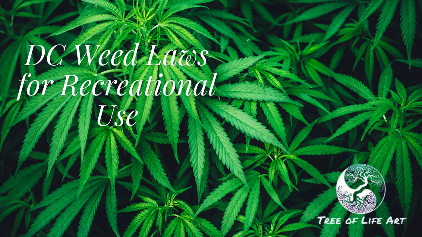 DC Weed Laws for Recreational Use (1)