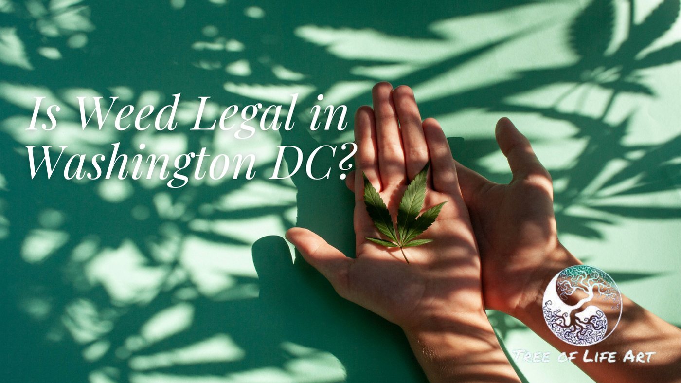 Is Weed Legal in Washington DC