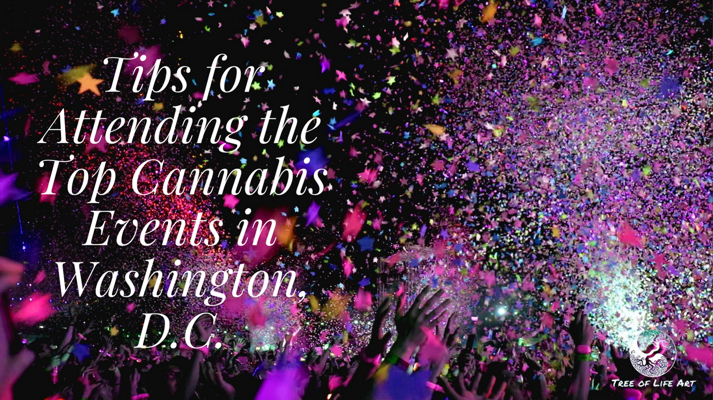 Tips for Attending the Top Cannabis Events in Washington, D.C.