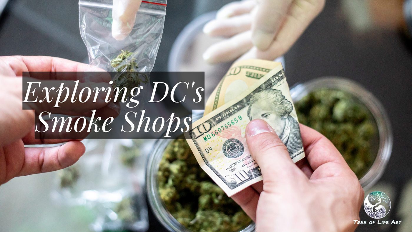 Exploring DC's Smoke Shops Exploring DC's Smoke Shops