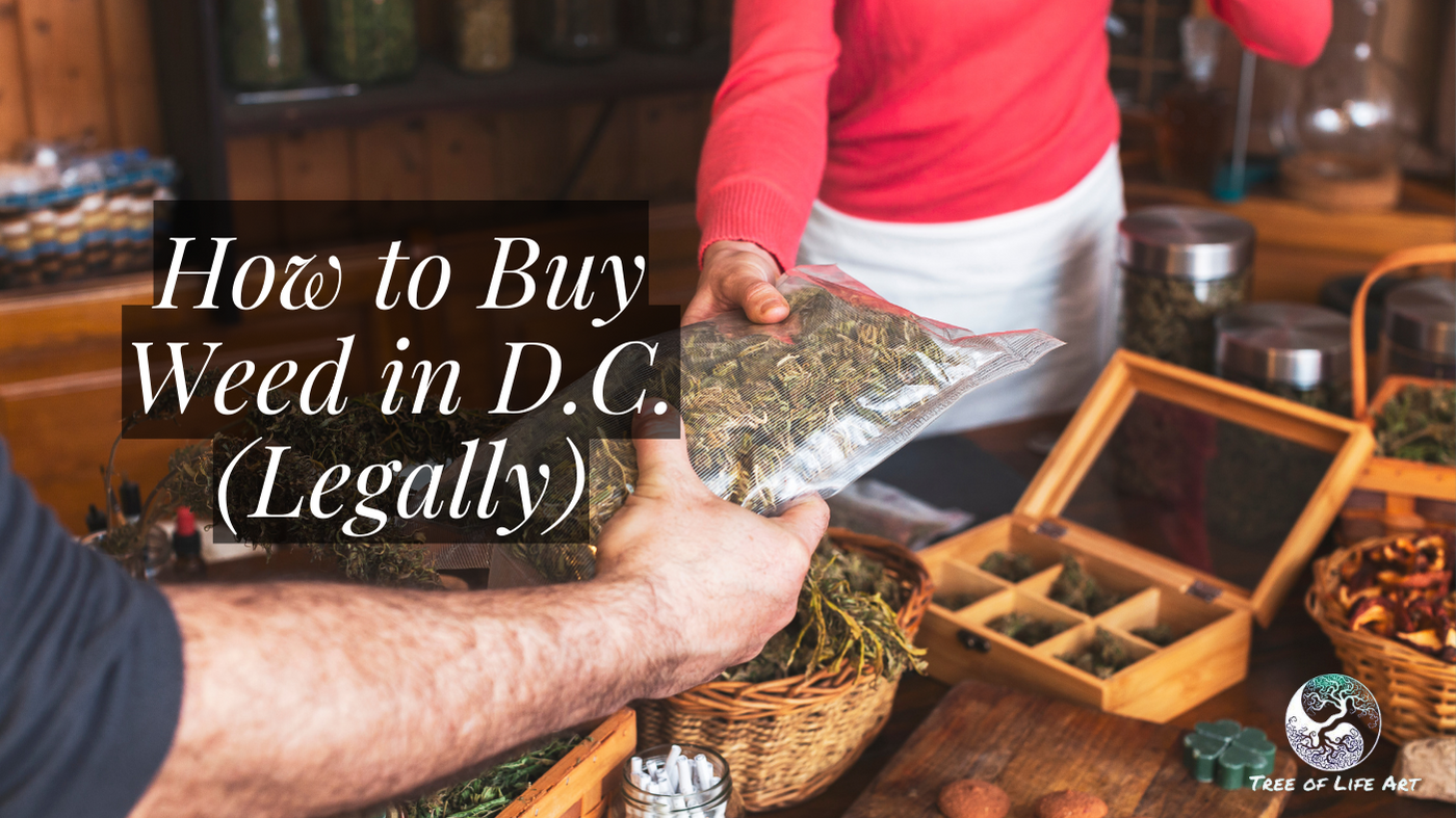 How to Buy Weed in D.C. (Legally) How to Buy Weed in D.C. (Legally)