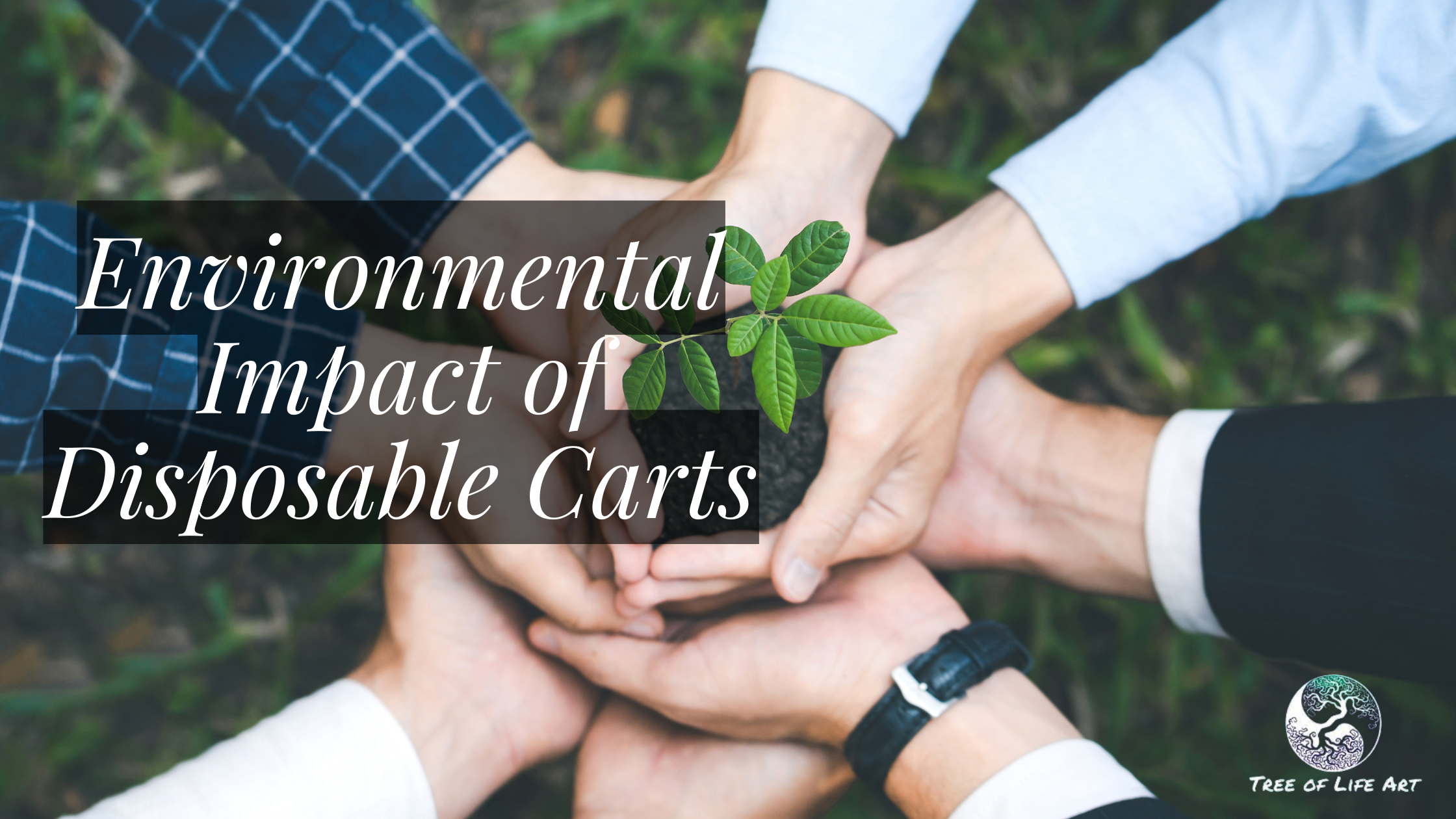 Environmental Impact of Disposable Carts Environmental Impact of Disposable Carts
