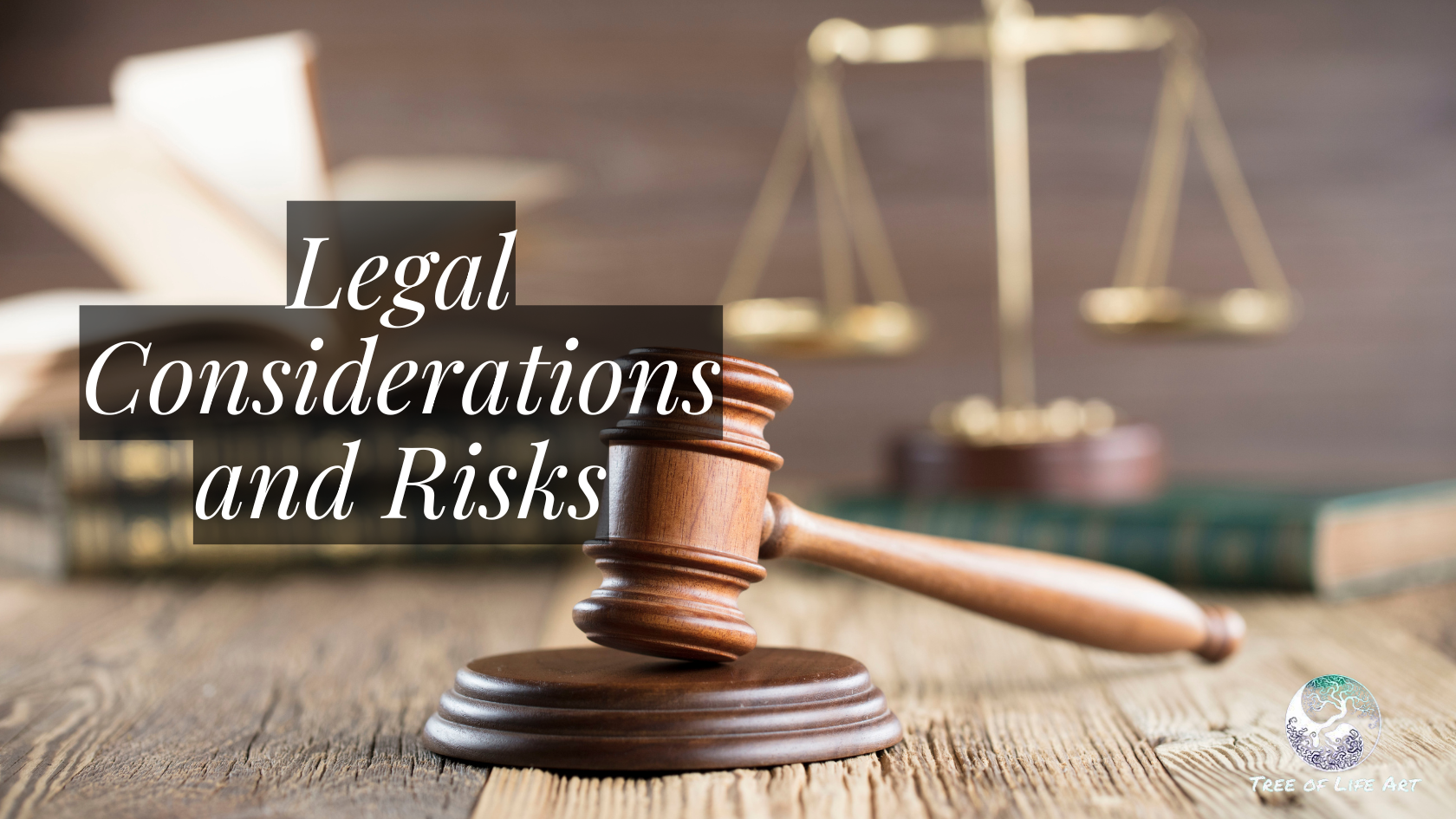 Legal Considerations and Risks Legal Considerations and Risks