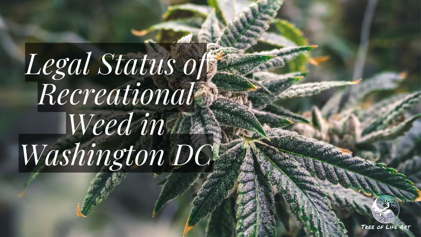 Legal Status of Recreational Weed in Washington DC Legal Status of Recreational Weed in Washington DC