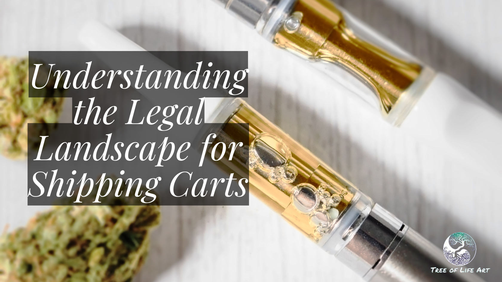 Understanding the Legal Landscape for Shipping Carts Understanding the Legal Landscape for Shipping Carts