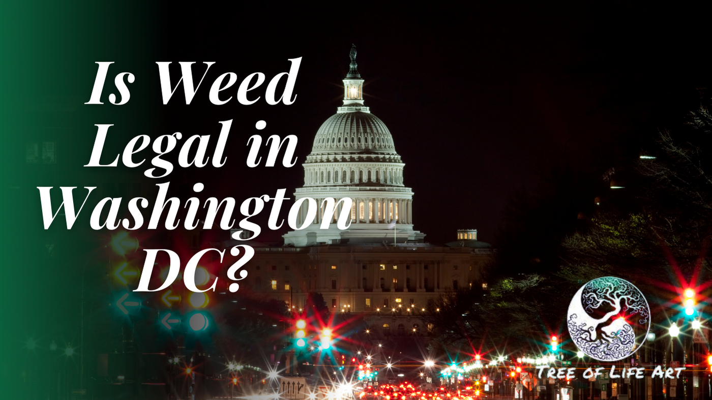 Is Weed Legal in Washington DC