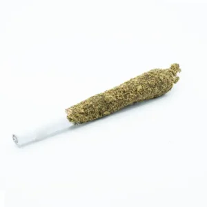 Exotic Mix with Wax and Kief (Moon Rock Joint)