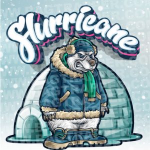 slurricane art