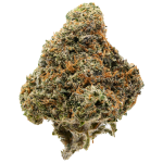 Obama Runtz 5 11