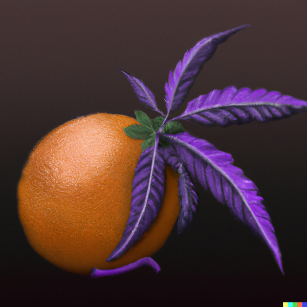 Purle Tangie Print