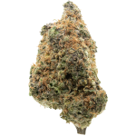 Tangie Cookie 5 11