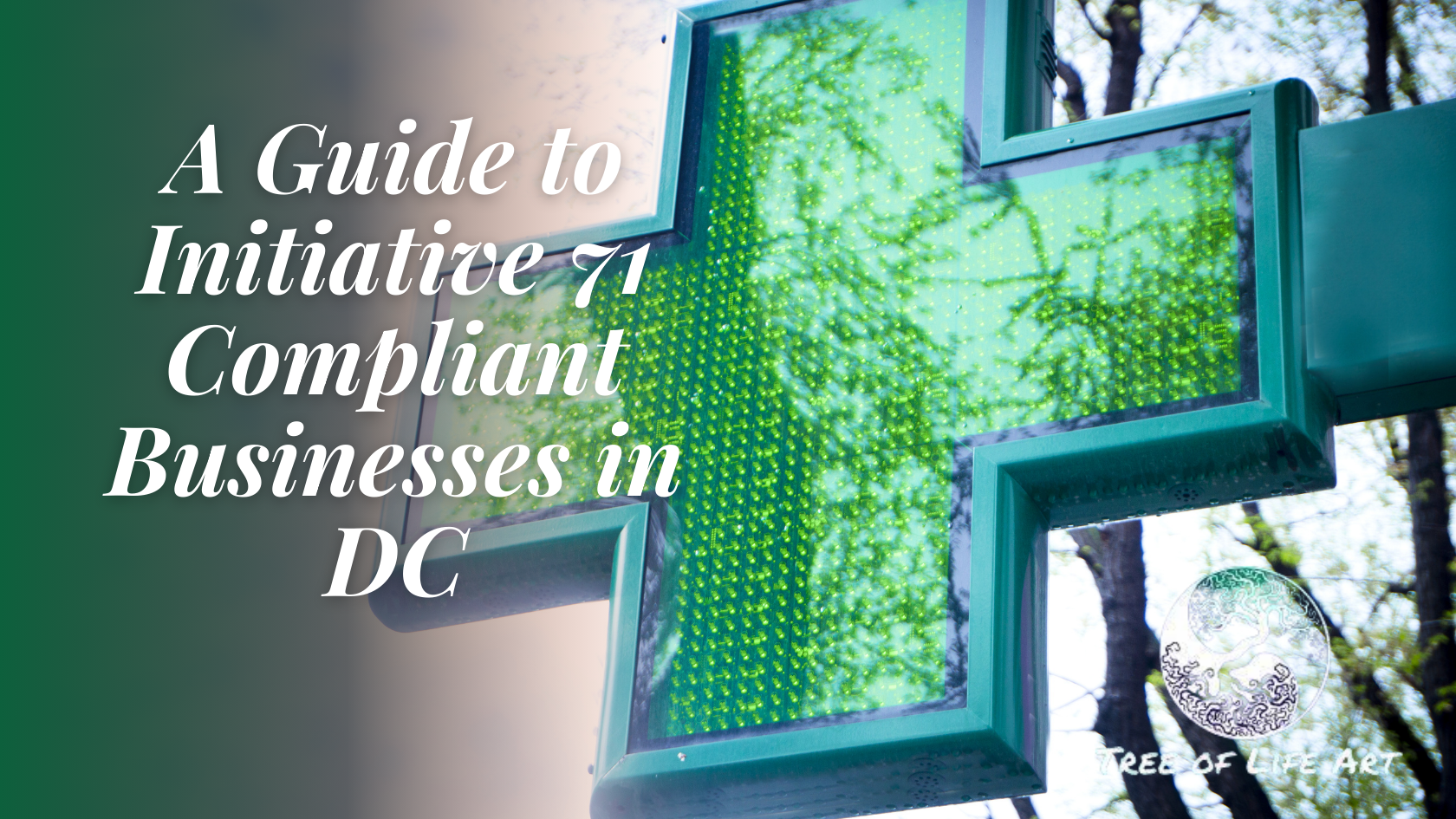A Guide to Initiative 71 Compliant Businesses in DC