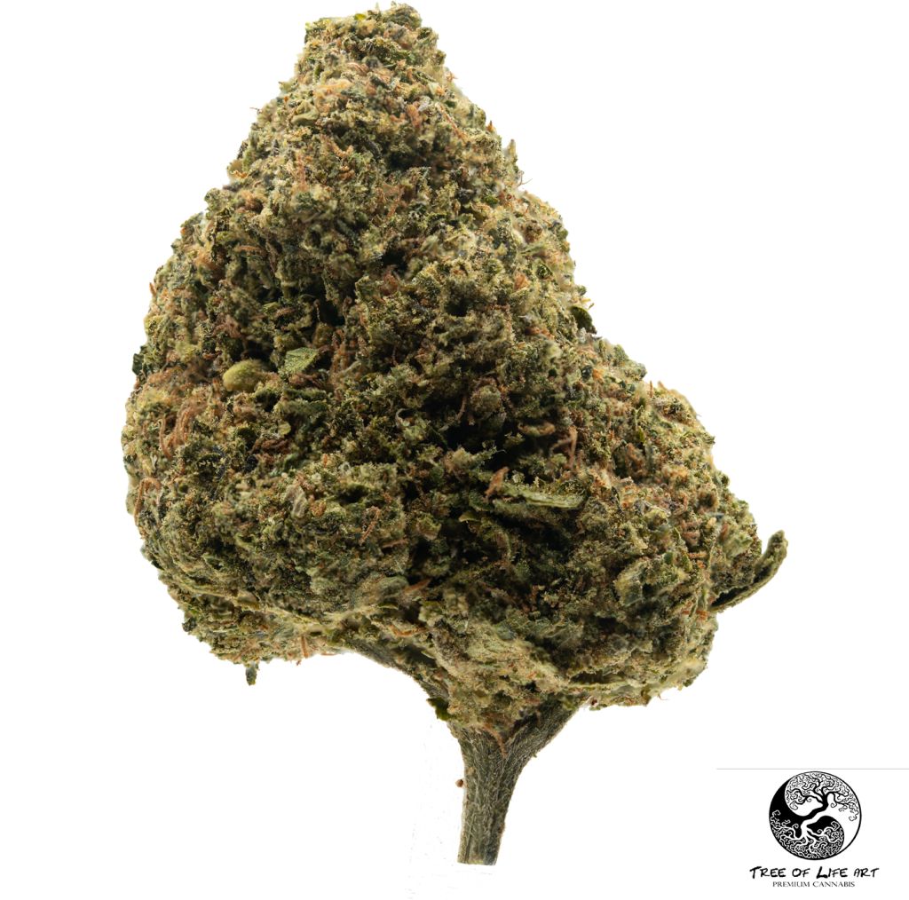 Durban Poison