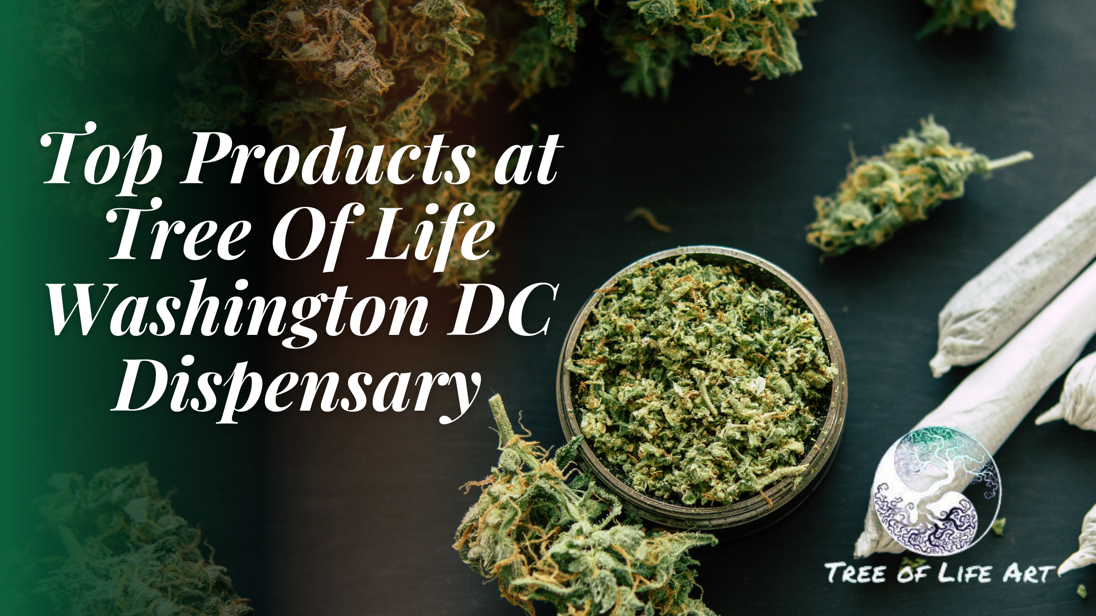 Tree Of Life Washington DC Dispensary