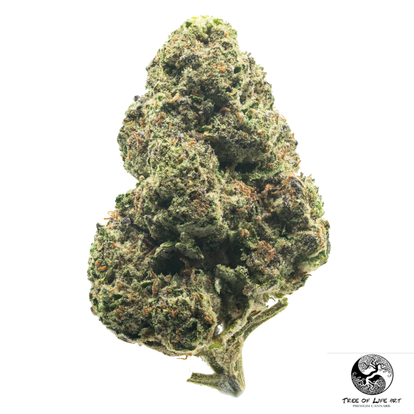 Space Cake