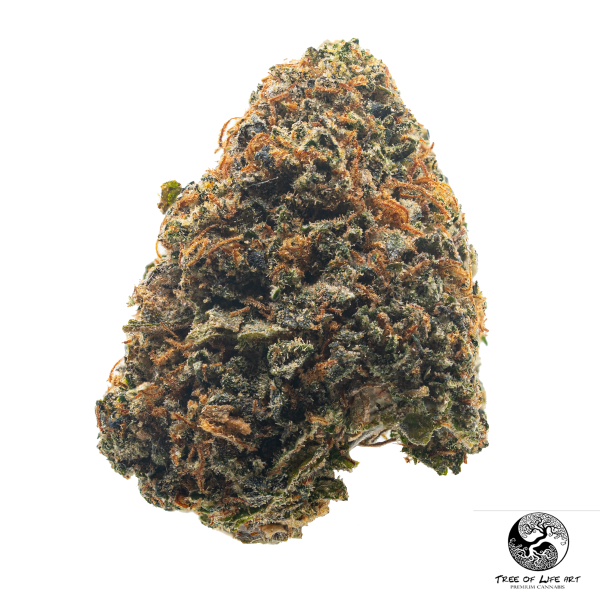 Black Cherry Gelato