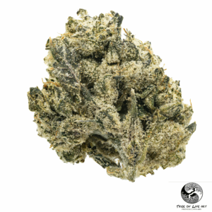 Bubblegum Gelato