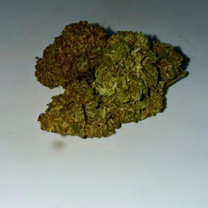 Grape GMO