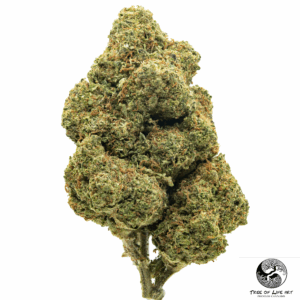 Lemon Cherry Gelato (1)