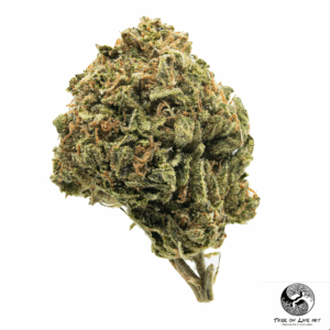 Super Lemon Haze